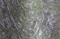 Wimbish Green fibreglass roof work